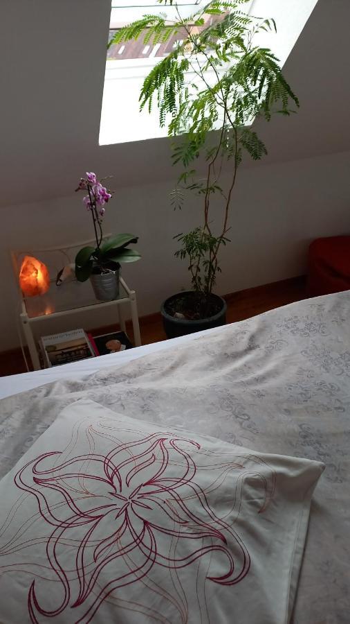 Agnes Vintage Home Ανόβερο Εξωτερικό φωτογραφία